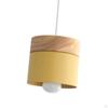 Minimalist LED Pendant Light with Wooden and Iron Design for Home Decor