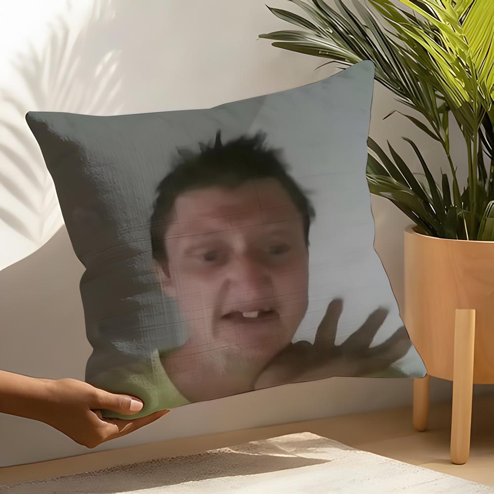 Funny Ddaniel larSson meme Pillow Case Home Living Room Decoration Linen Pillow Cases Cushion Cover