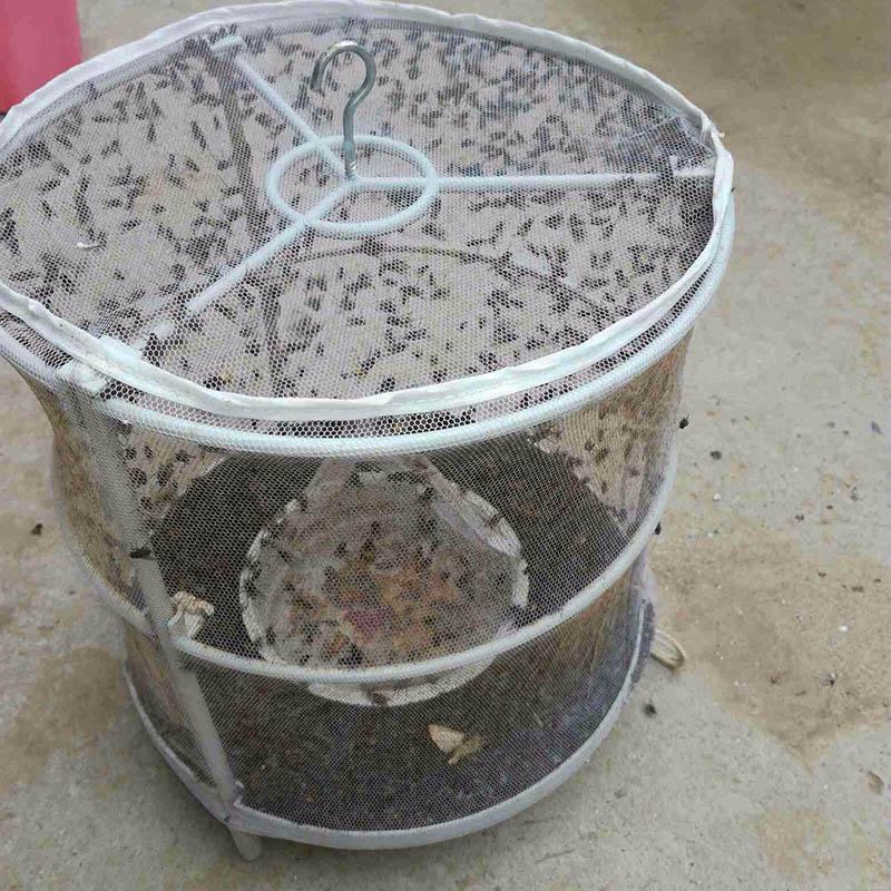 Fly Trap Cage Hanging Insect Catcher Net Portable Fold Insect Trap For Outdoor Garden Orchard Vegetable Farm Reusable Fly Mesh