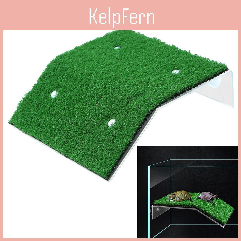 Platform Float Decoration Aquarium Turtle For Small Reptile Suction Cup Drying Easy Install Simulated Lawn Slope