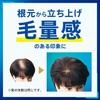 Success shampoo volume up type replacement 280ml