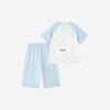 YEEHOO Boy's Summer Short Sleeve Pajama Set
