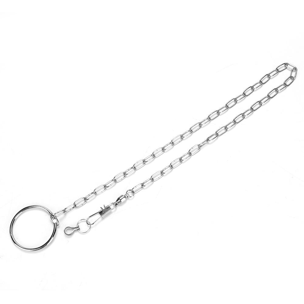 

Stainless Steel Pet Birds Parrot Foot Chain Anklet Training Harness (Psittacula eupatria)