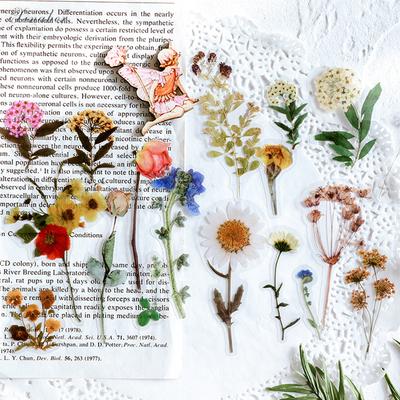40 Stück/Beutel Vintage Ginkgoblätter Blumen PET Aufkleberpaket DIY Tagebuch Dekoration Aufkleber Album Scrapbooking