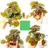 Reptile Fake Plants With Base Fake Realistic Amphibian Habitat Decor Leaves Tank Decor Artificial Leaves For Lizard Gecko Frog