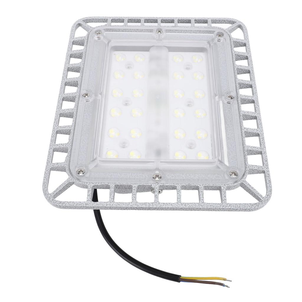 LED Explosion Proof Light 50W 5500LM 5000K High Brightness IP65 Water Resistant Die Cast Aluminum LE