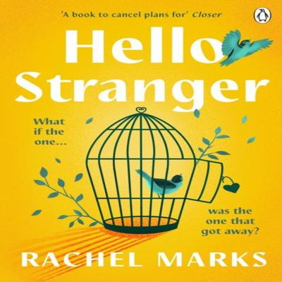 Hello Stranger by Rachel Marks Paperback Book 9781405949033