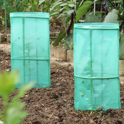 Yousheng Vorstbescherming Plantenkooi Geventileerde Plantbeschermer tegen Dieren Snelle Opzet Tuinklokken voor Blauwe Bessenstruiken Aardbeien Groenten Bloemen