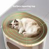 Double Layer Wear-Resistant Cat Scratching Board Transparent Tunnel Integrated Sofa Anti-Cat Scratch Cat Toy No Shedding