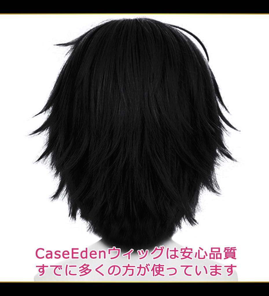 CaseEden Cosplay Wig, Short, 30cm, Heat-Resistant, Black, WIG6200
