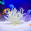 Simulation Coral Water Plant Resin Fake Coral Aquarium Decorations Coral Miniature Fish Tank Aquarium Landscape Decoration