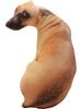 3d Simulated Dog Pillow Animal Doll Creative Doll Cute Sleeping Doll Husky Plush Toy