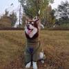 Large Dog Winter Warm 4-Legged Coat Golden Retriever Labrador Thick Fleece Pet Outfit Casual Outdoor Wear