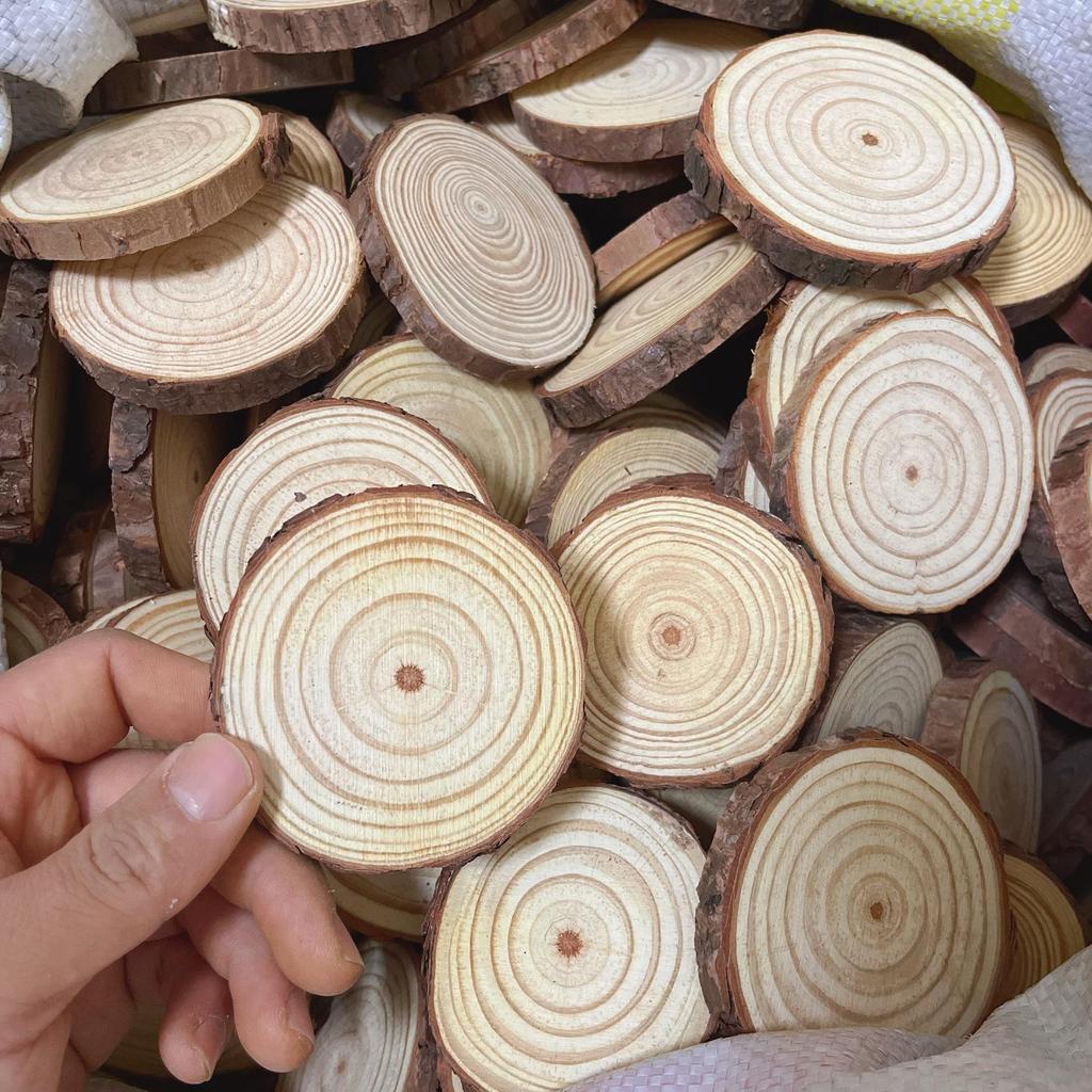DIY Hand-Painted Wooden Slices for Crafts and Kindergarten Decor – Small Natural Wood Pieces with Growth Rings