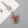Creative Cat Shape Keychain Mini Animal Toy Keyrings Acrylic Animals Key Chain Pendant DIY Keychains Crafts Decorations