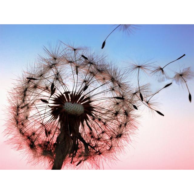 5D Diamond Painting Flower Rhinestone Picture Full Round Diamond Embroidery DIY Mosaic Art Decoration Rhinestone Gift