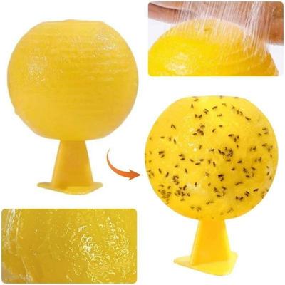Ball Fruit Fly Catcher Pest Control Sticky Trap Gnat Traps Flying Insects Traps Ball for Indoor Outdoor House Kitchen Plants