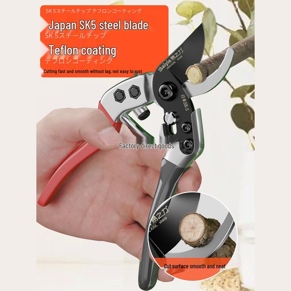 Japanese Pruning Shears for Gardening and Florals