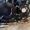LEDISHUN Engine Engine Engine Guard for and Z900RSCAFE Cover, Slider, Z900, Z900RS, (All Models) (Black)