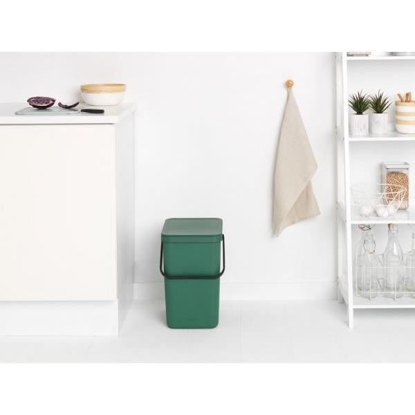 BRABANTIA Poubelle Waste Bin Sort &amp; Go 25 L - Fir Green