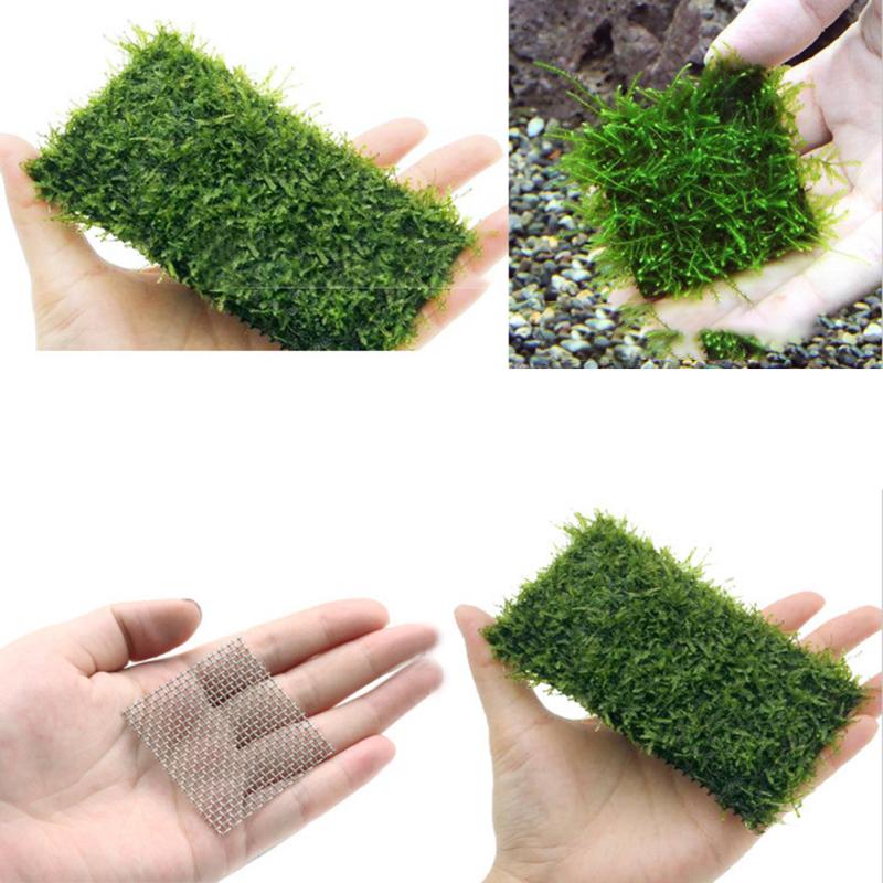Aquarium Decor Stainless Steel Wire Mesh Pad Water Grass Moss Plants Fixed Net Fish Tank Accessories
