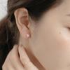 S925 Silver Zircon Snowflake Stud Earrings - Korean Style Christmas Gift for Girls