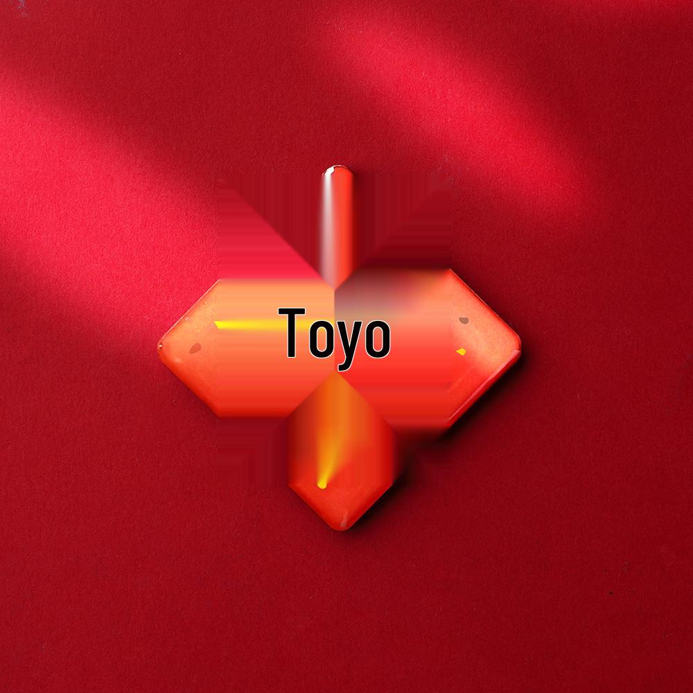 2025 Feng Shui Refrigerator Magnet: Abundant Harvest, Fu Character, Wealth & Treasure Décor Sticker