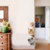 Home Decor Schöner Hund/Katze Wandaufkleber Abnehmbare Schlafzimmertür DIY Aufkleber Home Decor