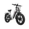 Nathaniel SYR08 E-Bike da Fuoristrada Batteria 48V20Ah Pneumatici Fat da 20 Pollici Doppio Motore 2*1000W Bicicletta Elettrica All-Terrain per Adulto