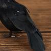 Small Simulation Fake Bird Realistic Halloween Black Crow Model Ornament Simulation Bird Home Decoration Animal Creepy Toy