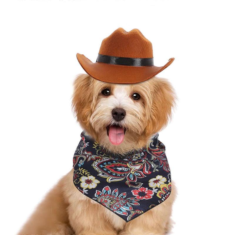 Dog Hat and Bandana Kit for Party 3Sets Vintage Style Pet Hat Accessory