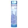 Bryonia, 6C, Muscle and Joint Pain Relief, Approximately 80 Pellets