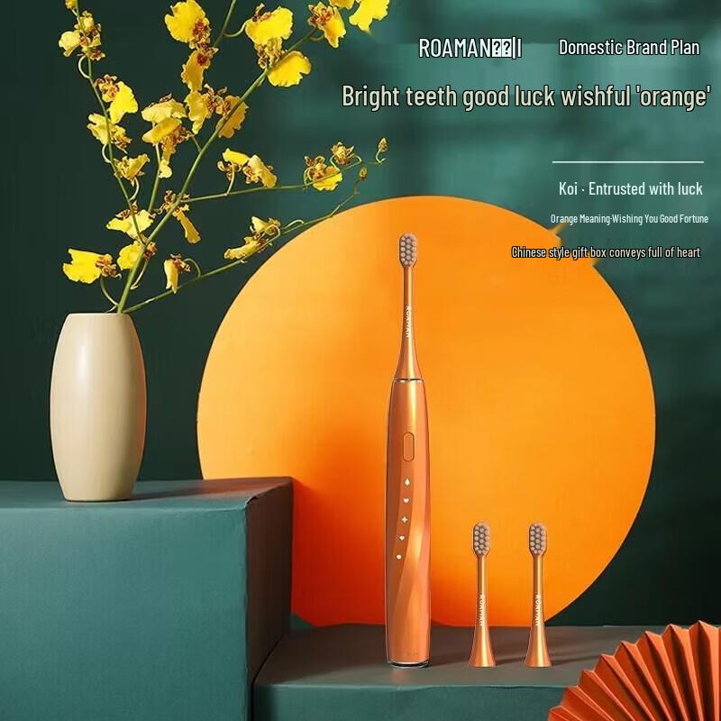 ROAMAN E21 Wireless Sonic Electric Toothbrush CN plug (adapter included)