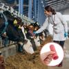 Nutztiere – Näpfe & Tränken für Tiere