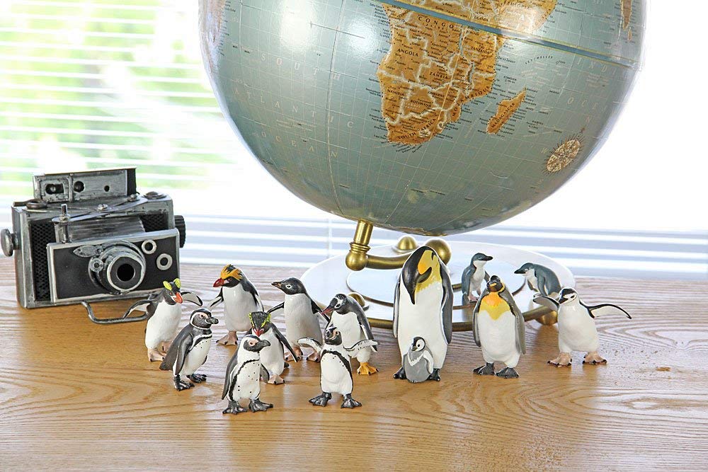 COLORATA Penguin 3D Picture Book 13 Pieces Explanation Real Figure Birthday Present Gift Sanitation Law Figure Penguin Christmas Present (12 Types, /