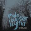 Pale Winter Light by Jeremy Page Paperback Book 9781916905191