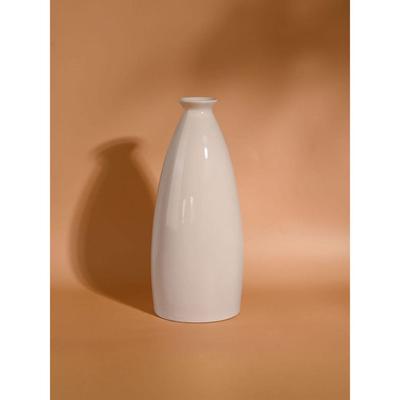 Aero Ceramic Bottle Shaped Flower Vase for Living Room & Home Decorative Without Pampas Dried Flower