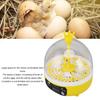Mini Egg Incubator for Home Automatic Temperature Humidity Eggs Candler Poultry Hatching Machine for Hatching Chick Duck Quail (Auto Turning)
