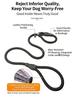 All In One Nylon P Chain Dog Training Collar Leash No Pull Anti Shock Quick Release Buckle Explosion Proof Walking Lead For Small Medium Large Pet