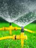360° Adjustable Automatic Lawn & Garden Sprinkler Head