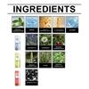 Yangyizhi Herbal Diffuser Pen, Natural Aromatherapy Inhaler Stick with Mullein Thyme, Flavored Air Freshener, Portable Botanical Scent Pen for
