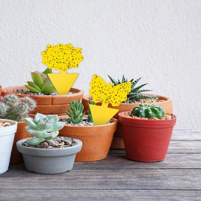 5 Pezzi Acchiappamosche Appiccicoso Bifacciale Forte Appiccicosità Giallo a Forma di Farfalla Trappola per Mosche Afidi Carta Bordo Appiccicoso Forniture da Giardino