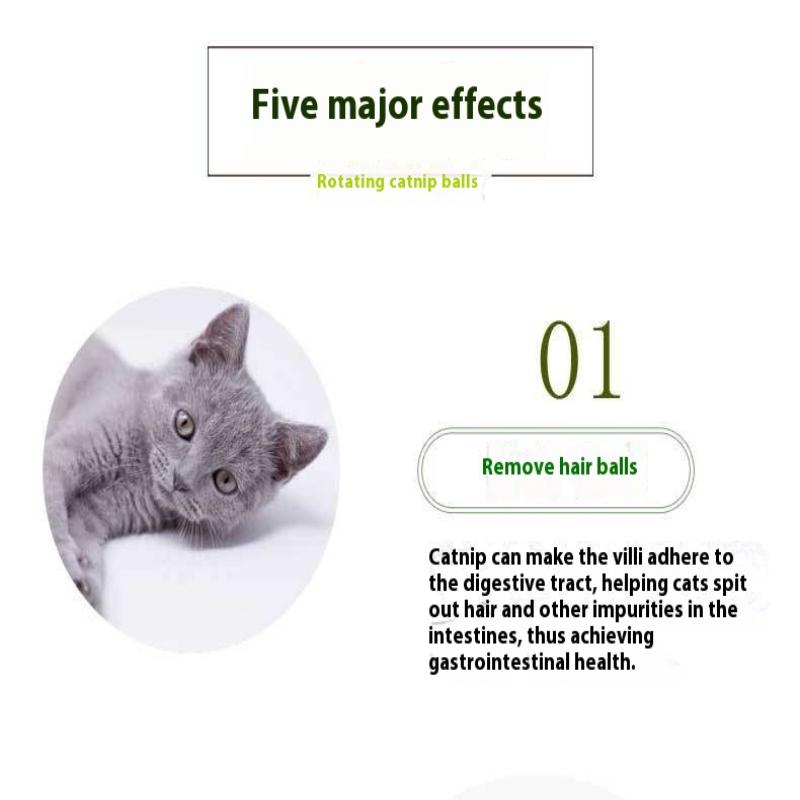 Natural Catnip Cat Wall Stick-On Ball Toy Scratchers Treats Healthy Natural Removes Balls Cat Pet Supplies