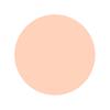 DASHU Mens Multi Cover Stick Foundation 12g