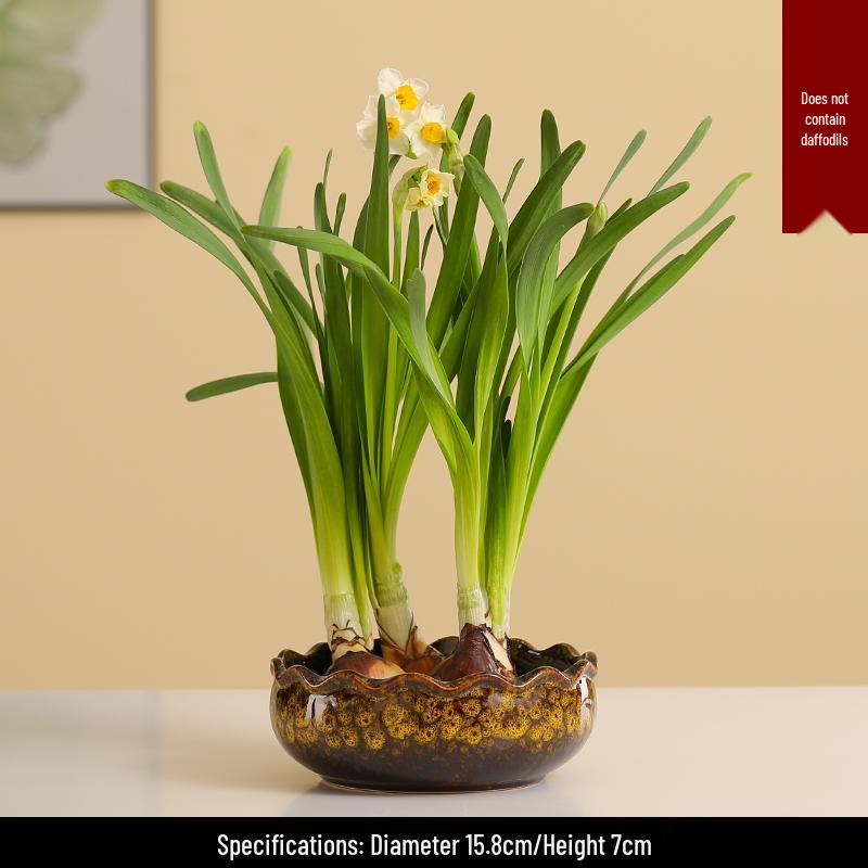 Großer Keramik-Lotus Seerose Hydroponischer Blumentopf ohne Abfluss