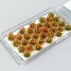 Simulation Small Grass Model Diy Building Static Tuft Toys Miniature Flower Cluster  Sand Table