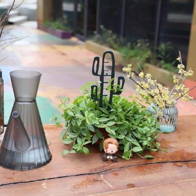Plant Climbing Trellis Universal Good Support Stackable Cactus Shape Indoor Plant Free Vine Support for Garden