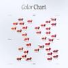 Blur Glow Lip Tint 202 Sophia Korean Cosmetics High Color [Dinto Official] - - Shiny, Payoff, Transparency, Moisturizing, Long-lasting