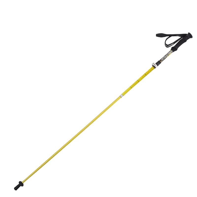 Robinson Folding Carbon Fiber Trekking Pole