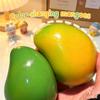 Mango Stress Ball, Soft Fidget Sensory Toy Simulated Slow Rebound Squeeze Toy Color-changing Squeeze Relief Stress Anytime##